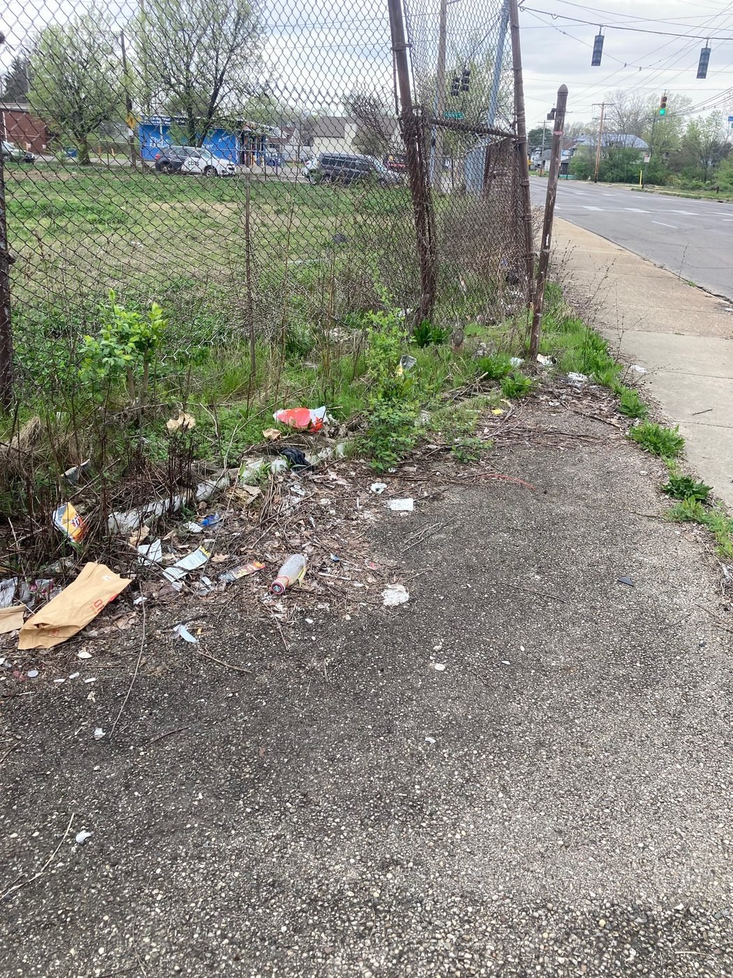 Before — litter along the fenceline