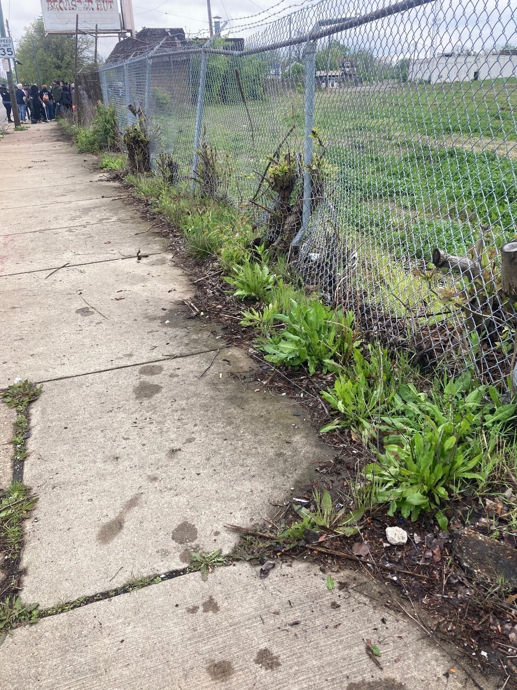 Before — a neglected right-of-way