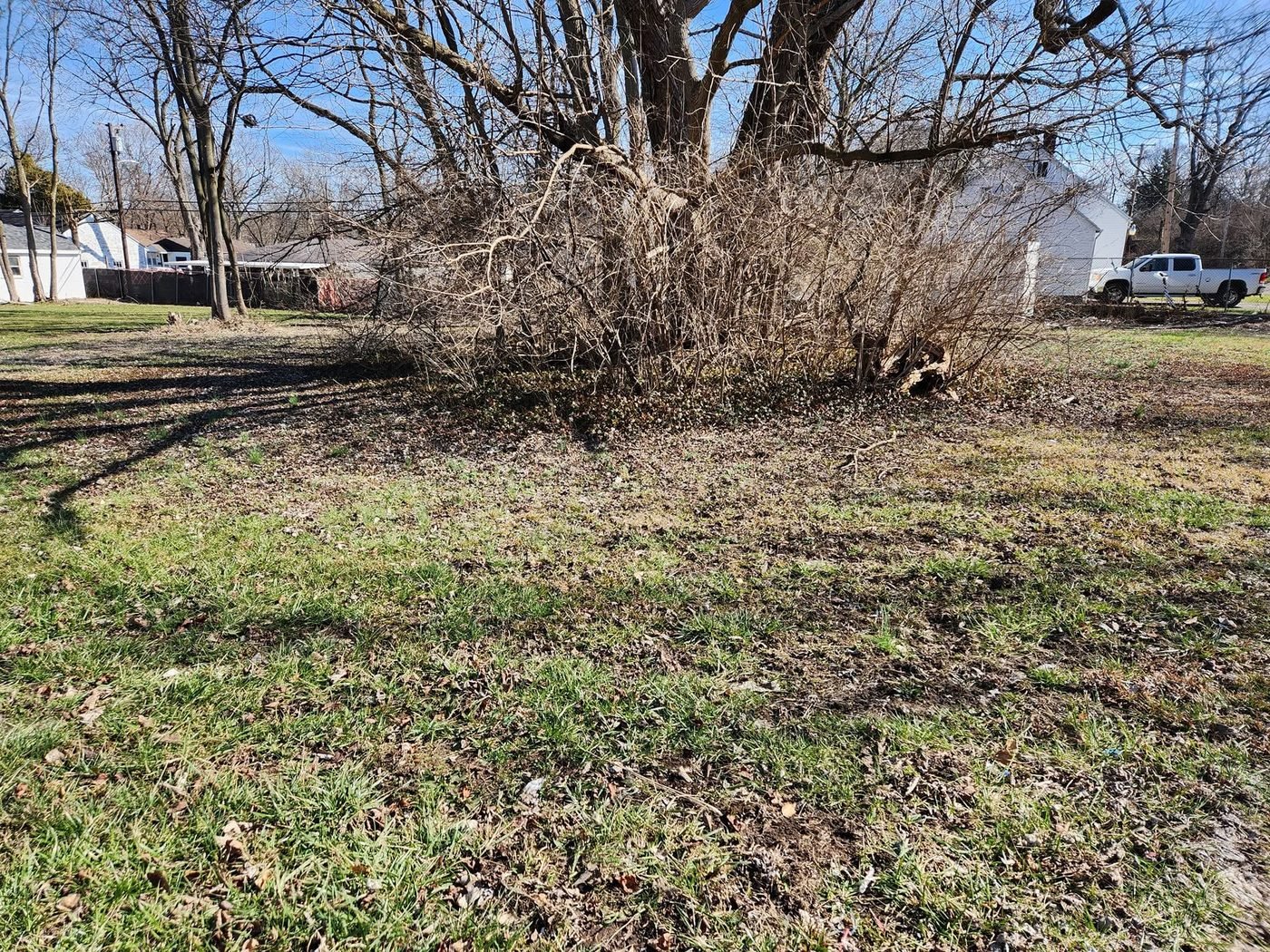 After — bare, clean ground