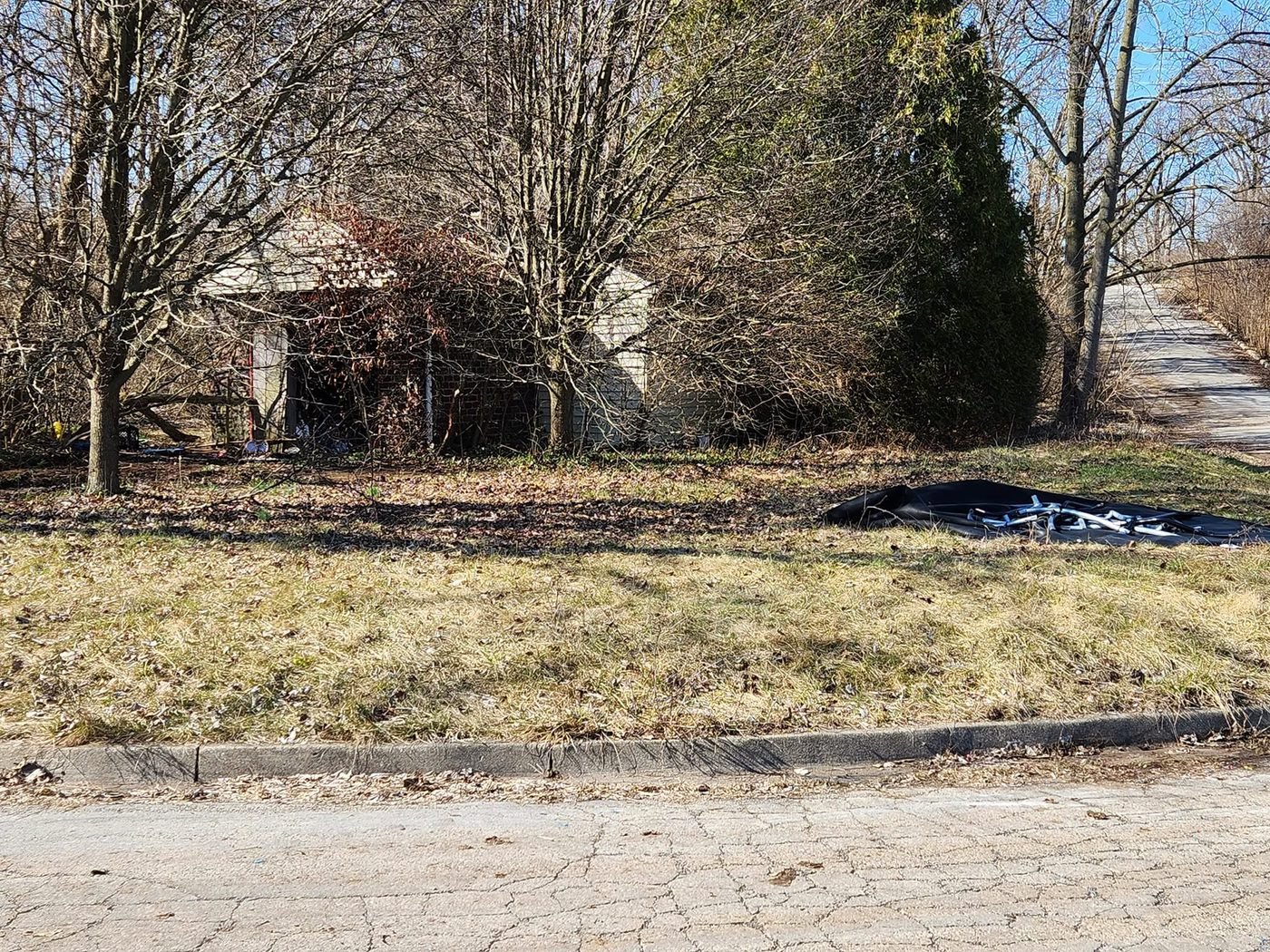 After — cleared and greening back up